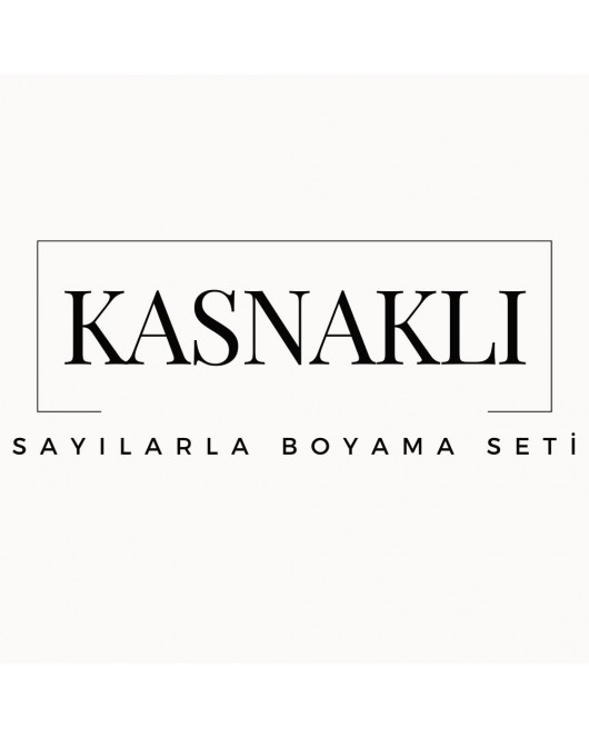 Kasnaklı Sayılarla Boyama Seti