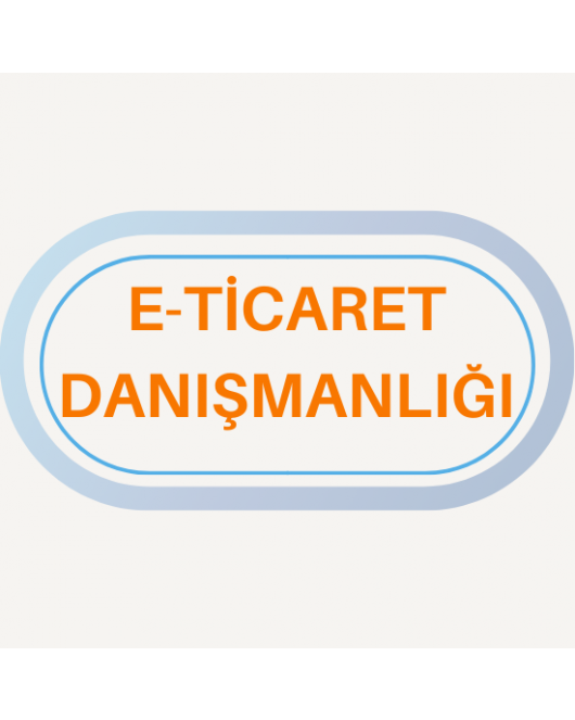 E-Ticaret Danışmanlığı 1 Aylık