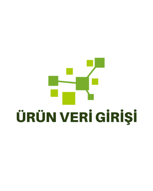 Ürün-Veri Girişi