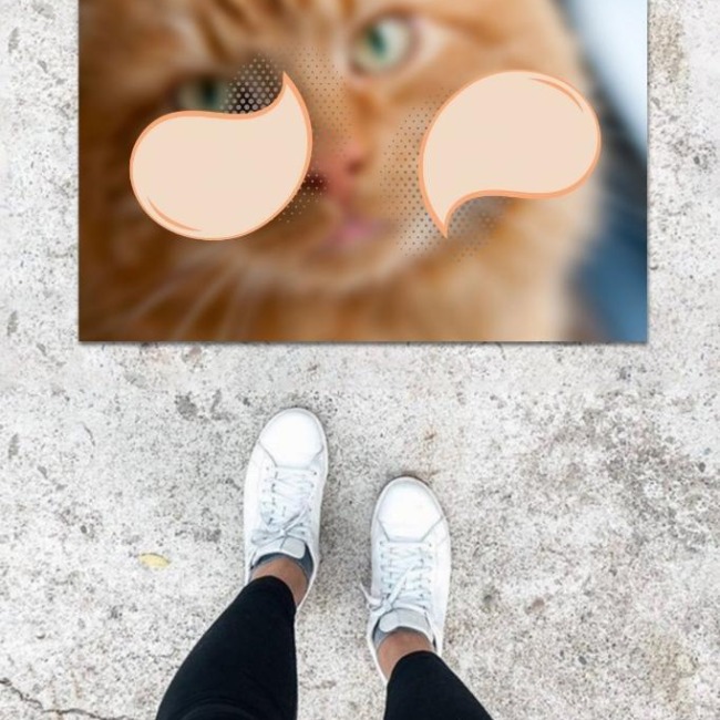 Text