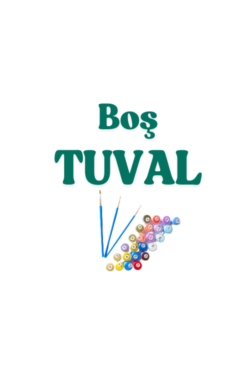 Boş Tuval