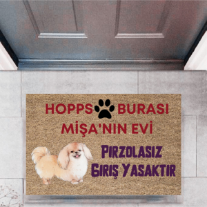 Kapı Önü Paspası Dekoratif Dijital Baskı Hopps  P-2474