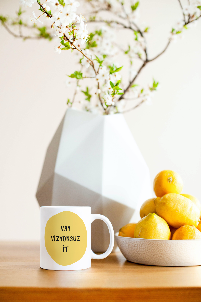 Vay Vizyonsuz İt Yazılı Hediyelik Seramik 350 Ml Kupa Bardak