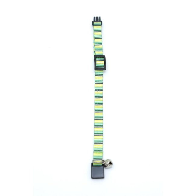 Text