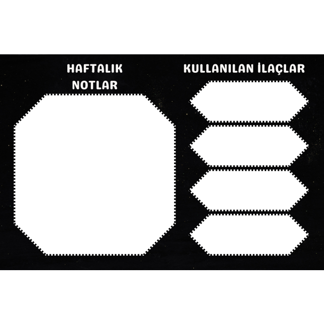 Text
